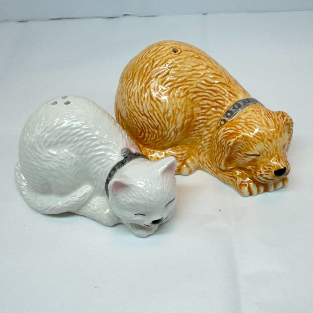 Novelty Ceramic Salt and Pepper Shakers Dog and Cat